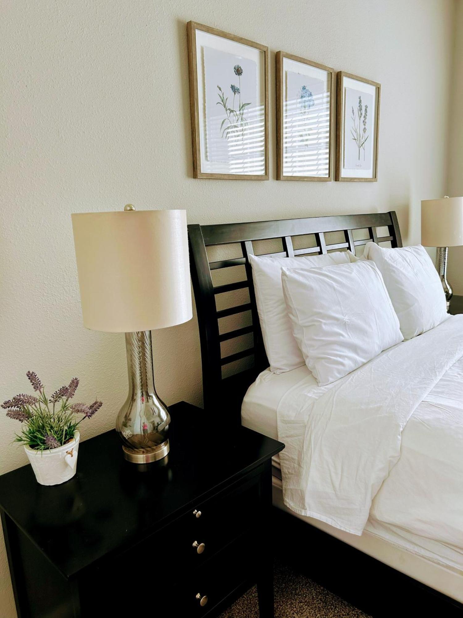Hidden Gem At Med Center 2Br & 2Ba Apartment Houston Kültér fotó